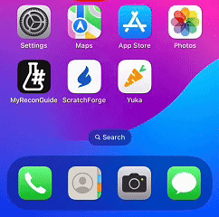 Demo showing the MyReconGuide home screen icon being tapped and the app opening